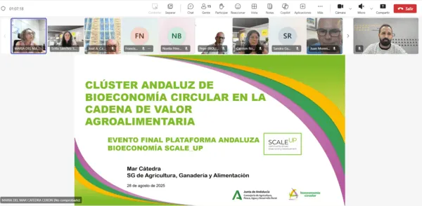 SCALE-UP Andalusian Bioeconomy Platform: three years of alliances and ...