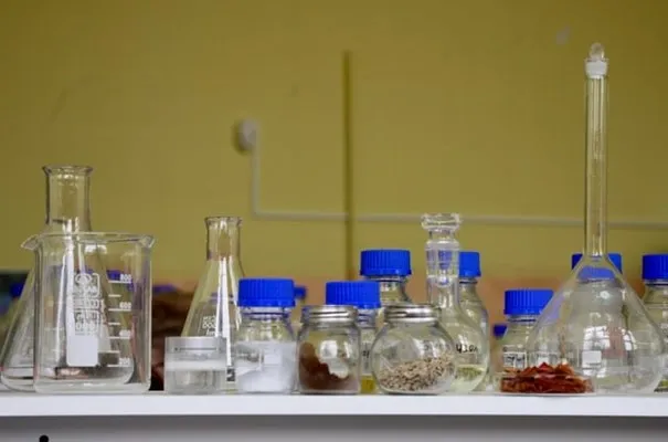 SCALE-UP Project Study Tour Explores Bioeconomy Potential in Strumica ...